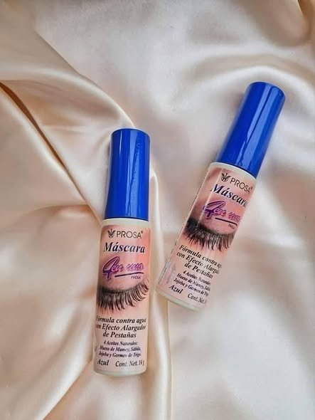 prosa tapa azul - Maquillaje
